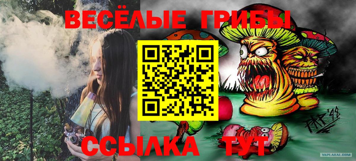 Нефтекумск  закладки  Вход с VPN  Галлюциногенные грибы мухоморы 