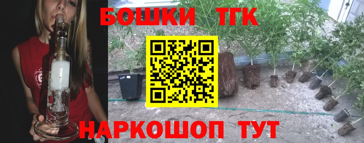 Шишки марихуана сатива Нефтекумск